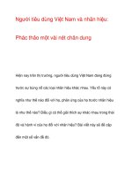 Người tiêu dùng Việt Nam và nhãn hiệu pptx
