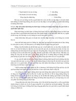 quy trình trình bày mối quan hệ giữa các thông tin kế toán theo dạng phương trình p6 pdf