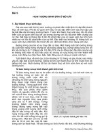 TRUYỀN TINH NHÂN TẠO CHO BÒ - phần 2- bài 5 potx