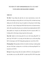 TÁC DỤNG ỨC CHẾ TOPOISOMERASE-I CỦA CÁC CHẤT TƯƠNG ĐỒNG BENZO[C]PHENATHRIDIN pptx