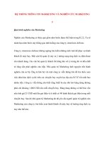 HỆ THỐNG THÔNG TIN MARKETING VÀ NGHIÊN CỨU MARKETING 3 doc