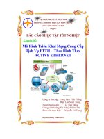 Mô hình triển khai mạng cung cấp dịch vụ FTTH – Theo hình thức active ethernet