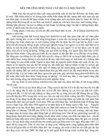 moi truong sinh thai van de cua moi nguoi ppsx