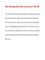 Khi đường tiêu hoá của trẻ có vấn đề docx