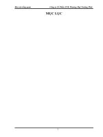 tổ chức công tác kế toán tại  công ty cổ phần xnk thương mại trường phát 9