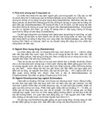 Giáo trình động vật học part 3 pdf