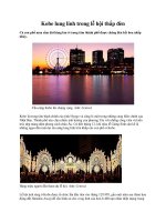 Kobe lung linh trong lễ hội thắp đèn pps