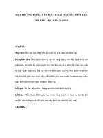 MỘT TRƯỜNG HỢP LẤY ĐA DỊ VẬT GIÁC MẠC SÂU DƯỚI BIỂU MÔ GIÁC MẠC BẰNG LASER ppt