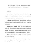 BƯỚC ĐẦU ĐIỀU TRỊ UNG THƯ PHỔI TẾ BÀO NHỎ GIAI ĐỌAN LAN TRÀN BẰNG CISPLATIN + IRINOTECAN docx