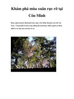 Khám phá mùa xuân rực rỡ tại Côn Minh ppsx