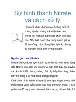 Sự hình thành Nitrate và cách xử lý pot