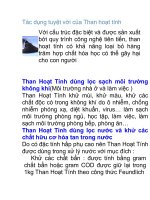 Tác dụng tuyệt vời của Than hoạt tính pps