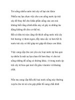 Trẻ uống nhiều nước trái cây sẽ hại sức khỏe pps