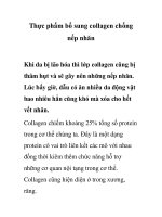 Thực phẩm bổ sung collagen chống nếp nhăn pdf