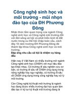 Công nghệ sinh học và môi trường docx