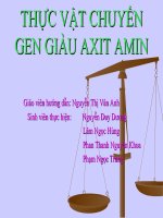 Tiểu luận THỰC vật CHUYỂN GEN GIÀU AXIT AMIN