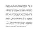 Luận văn : Thực trạng và giải pháp phát triển dịch vụ giao nhận hàng hóa xuất nhập khẩu tại Tp.HCM part 3 pps