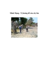Minh Mạng - Vị hoàng đế của cây lúa ppt