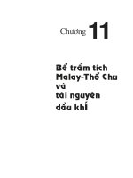 Địa chất và tài nguyên dầu khí Việt Nam - Chương 11 pptx