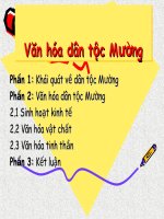Văn hóa dân tộc Mường ppsx