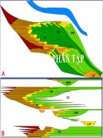 ĐỊA TẦNG PHÂN TẬP pot