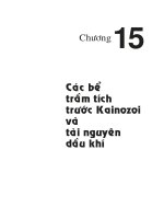 Địa chất và tài nguyên dầu khí Việt Nam - Chương 15 potx