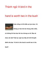 Thành ngữ A bird in the hand is worth two in the bush potx