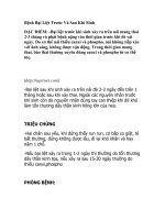 Bệnh Bại Liệt Trước Và Sau Khi SInh potx