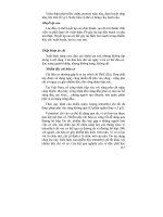 Độc Học, Môi Trường Và Sức Khỏe Con Người [In lần 3] - Trịnh Thị Thanh phần 9 ppsx