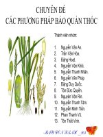 Tiểu luận các phương pháp bảo quản thóc