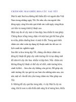 CHĂM SÓC MAI GHÉP, HOA CÚC SAU TẾT pptx