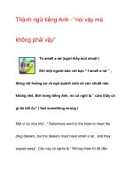 Thành ngữ tiếng Anh - “nói vậy mà không phải vậy” doc