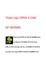Thành ngữ OPEN A CAN OF WORMS doc