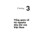 Địa chất Và tài nguyên dầu khí Việt Nam - Chương 3 ppt