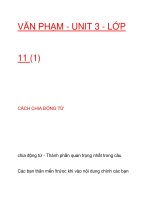 VĂN PHẠM - UNIT 3 - LỚP 11 (1) doc