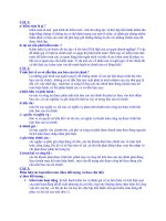 Đề thi môn kiểm toán pps