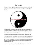 Phong thủy Âm trạch ppsx