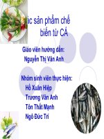 Tiểu luân các sản phẩm chế biến từ cá