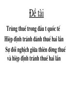 Đánh trùng thuế trong đầu tư quốc tế - phần 1 docx