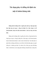 Tác dụng phụ và chống chỉ định của một số nhóm kháng sinh ppt