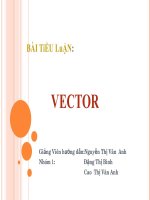 Tiểu luận tìm hiểu về VECTOR