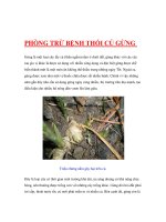 PHÒNG TRỪ BỆNH THỐI CỦ GỪNG pps
