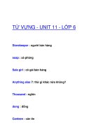 TỪ VỰNG - UNIT 11 - LỚP 6 ppsx