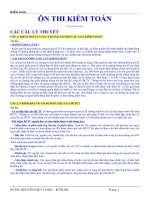 12 CÂU HỎI KIỂM TOÁN ppt