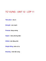 TỪ VỰNG - UNIT 12 - LỚP 11 docx