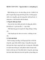 BỆNH CẢM NẮNG – Nguyên nhân và cách phòng trị ppt