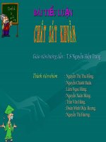 Tiểu luận một số chất sát khuẩn dùng trong bảo quản thực phẩm