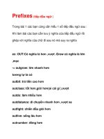 Prefixes (tiếp đầu ngữ ) docx