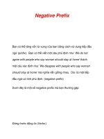 Negative Prefix pot