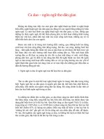 Ca dao – ngôn ngữ thơ dân gian pdf